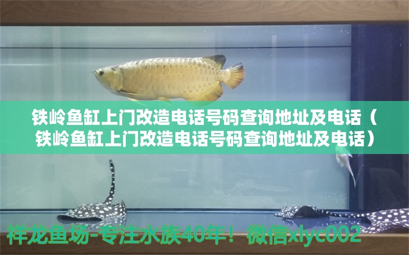 鐵嶺魚缸上門改造電話號(hào)碼查詢地址及電話（鐵嶺魚缸上門改造電話號(hào)碼查詢地址及電話）