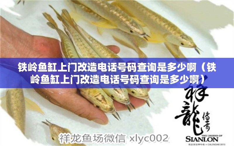 鐵嶺魚缸上門改造電話號(hào)碼查詢是多少?。ㄨF嶺魚缸上門改造電話號(hào)碼查詢是多少啊）