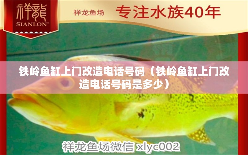 鐵嶺魚缸上門改造電話號(hào)碼（鐵嶺魚缸上門改造電話號(hào)碼是多少） 觀賞魚市場(chǎng)（混養(yǎng)魚）