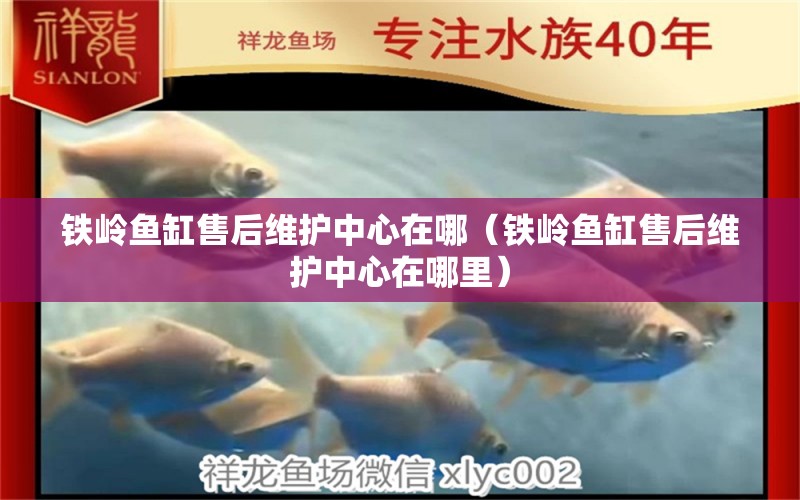 鐵嶺魚缸售后維護中心在哪（鐵嶺魚缸售后維護中心在哪里） 其他品牌魚缸