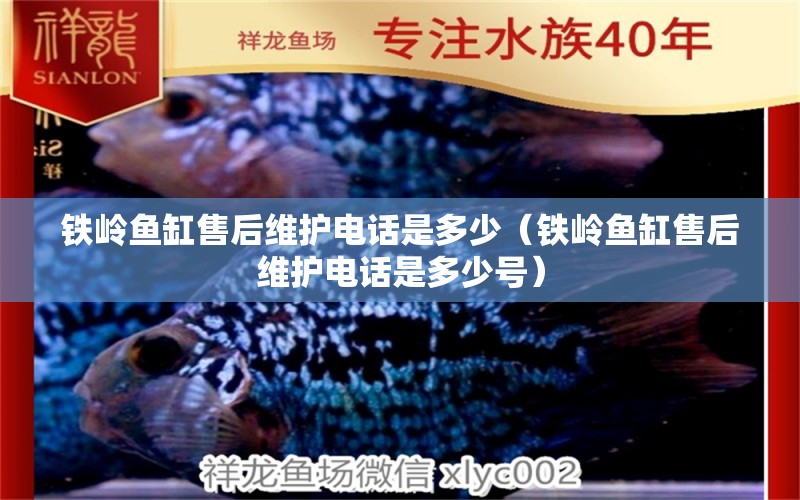 鐵嶺魚(yú)缸售后維護(hù)電話是多少（鐵嶺魚(yú)缸售后維護(hù)電話是多少號(hào)） 其他品牌魚(yú)缸