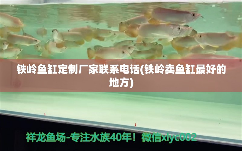 鐵嶺魚缸定制廠家聯系電話(鐵嶺賣魚缸最好的地方) 觀賞魚進出口