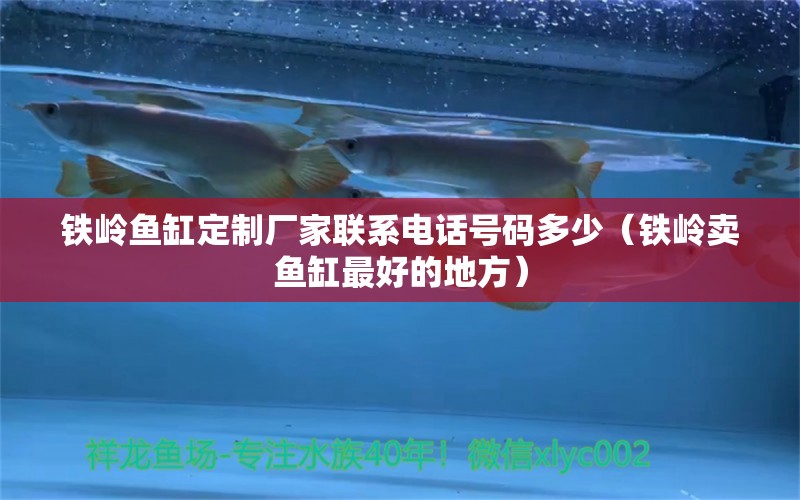 鐵嶺魚缸定制廠家聯(lián)系電話號碼多少（鐵嶺賣魚缸最好的地方）