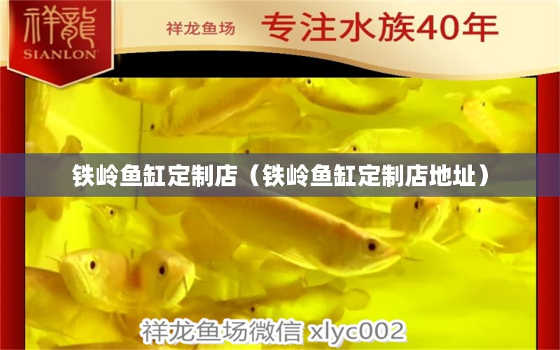 鐵嶺魚缸定制店（鐵嶺魚缸定制店地址） 其他品牌魚缸