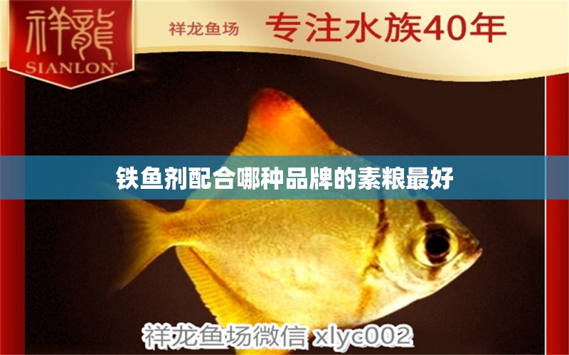 鐵魚劑配合哪種品牌的素糧最好 藍(lán)帆三間魚