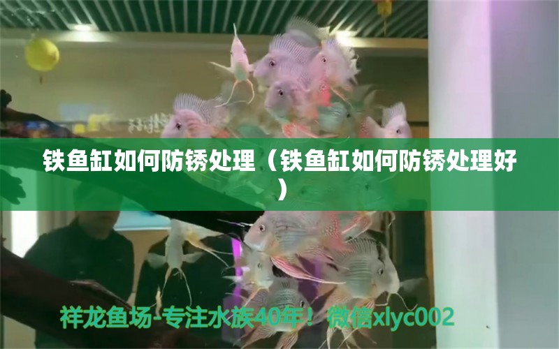 鐵魚缸如何防銹處理（鐵魚缸如何防銹處理好） 元寶鯽