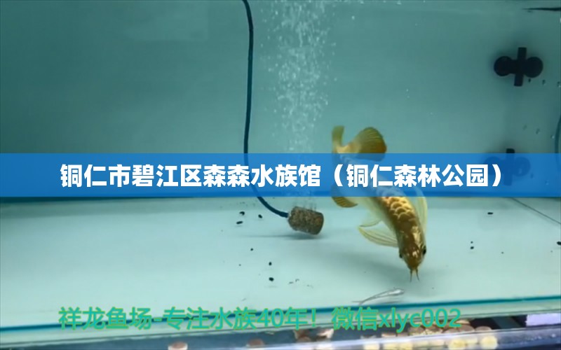 銅仁市碧江區(qū)森森水族館（銅仁森林公園）