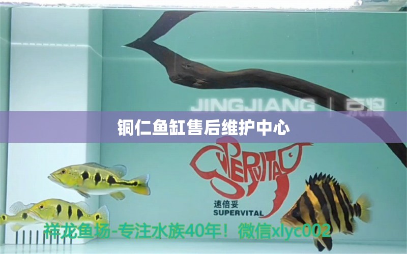 銅仁魚缸售后維護(hù)中心 其他品牌魚缸