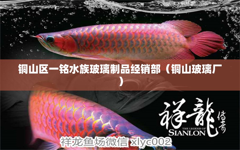 銅山區(qū)一銘水族玻璃制品經(jīng)銷部（銅山玻璃廠） 全國水族館企業(yè)名錄