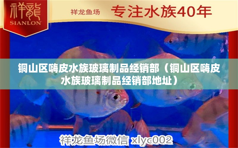 銅山區(qū)嗨皮水族玻璃制品經銷部（銅山區(qū)嗨皮水族玻璃制品經銷部地址）