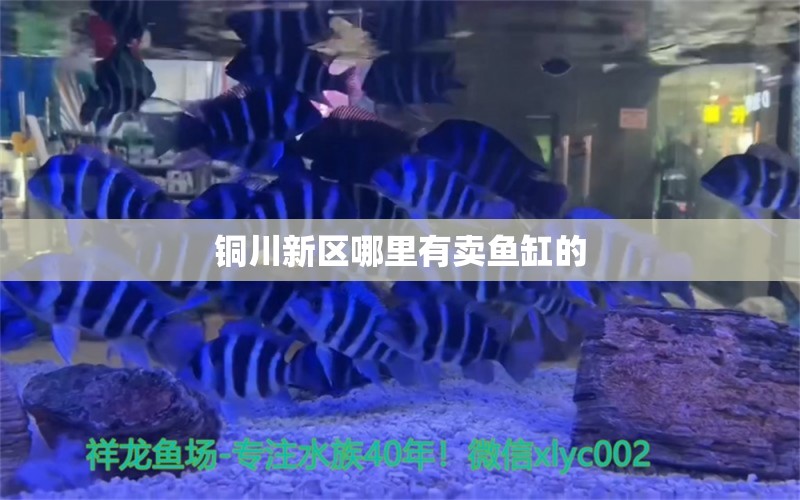 銅川新區(qū)哪里有賣魚缸的 其他品牌魚缸