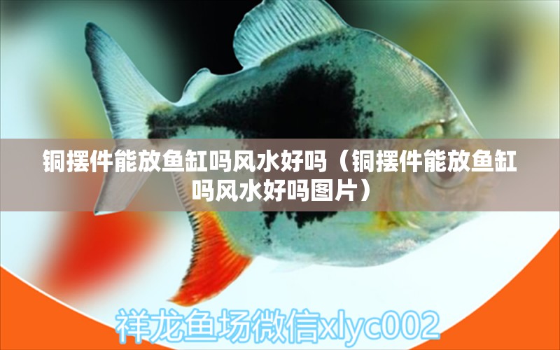 銅擺件能放魚缸嗎風水好嗎（銅擺件能放魚缸嗎風水好嗎圖片）