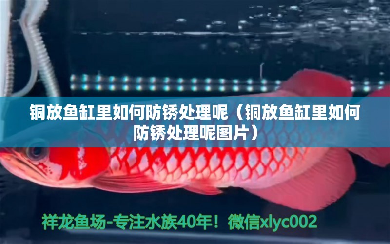 銅放魚缸里如何防銹處理呢（銅放魚缸里如何防銹處理呢圖片）