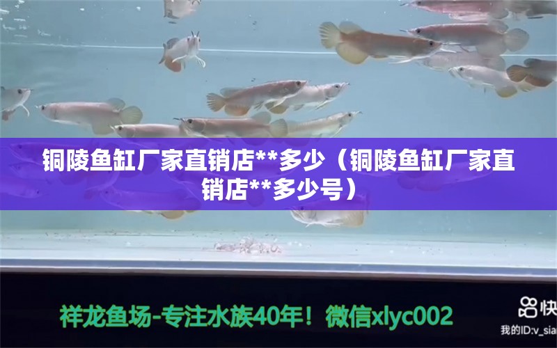 銅陵魚(yú)缸廠家直銷(xiāo)店**多少（銅陵魚(yú)缸廠家直銷(xiāo)店**多少號(hào)） 帝王迷宮魚(yú)