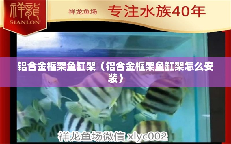 鋁合金框架魚缸架（鋁合金框架魚缸架怎么安裝） 觀賞魚水族批發(fā)市場(chǎng)