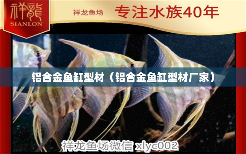 鋁合金魚缸型材（鋁合金魚缸型材廠家） 觀賞魚市場（混養(yǎng)魚）