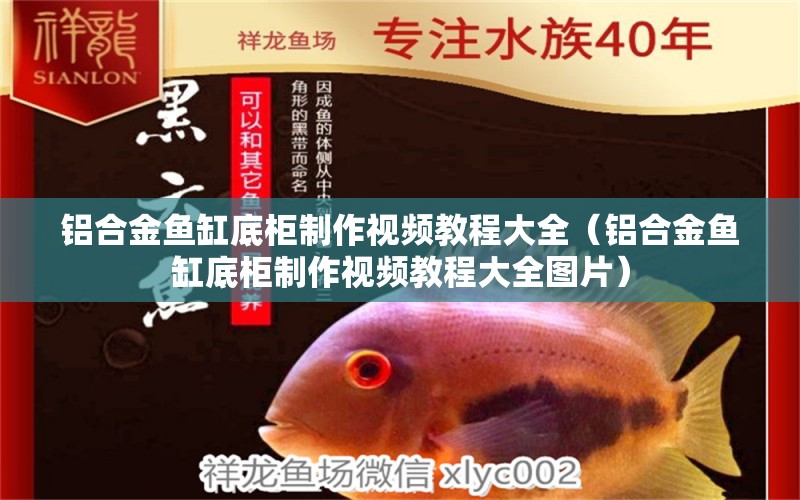 鋁合金魚缸底柜制作視頻教程大全（鋁合金魚缸底柜制作視頻教程大全圖片）