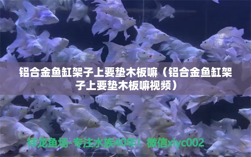 鋁合金魚缸架子上要墊木板嘛（鋁合金魚缸架子上要墊木板嘛視頻） 祥龍魚場