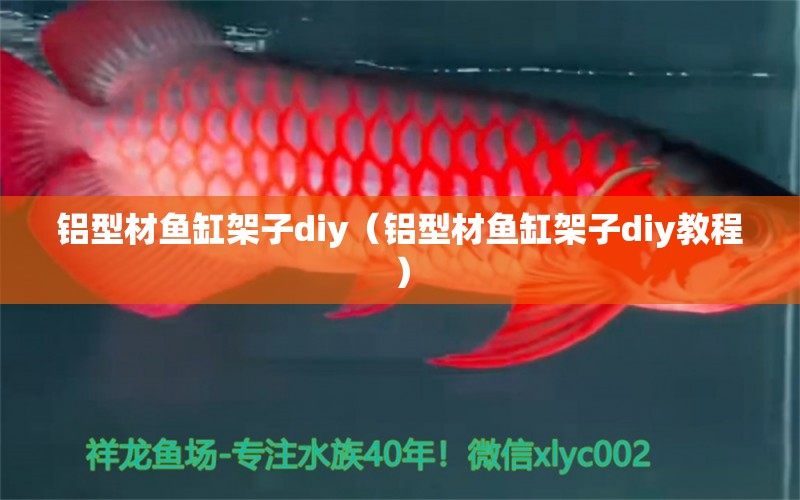 鋁型材魚缸架子diy（鋁型材魚缸架子diy教程）