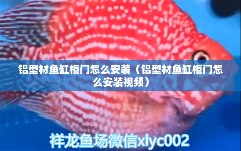 鋁型材魚缸柜門怎么安裝（鋁型材魚缸柜門怎么安裝視頻）