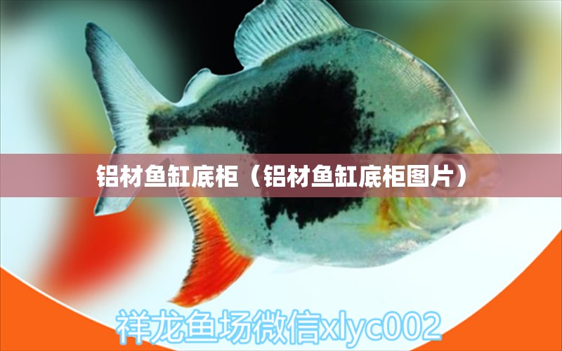 鋁材魚缸底柜（鋁材魚缸底柜圖片）