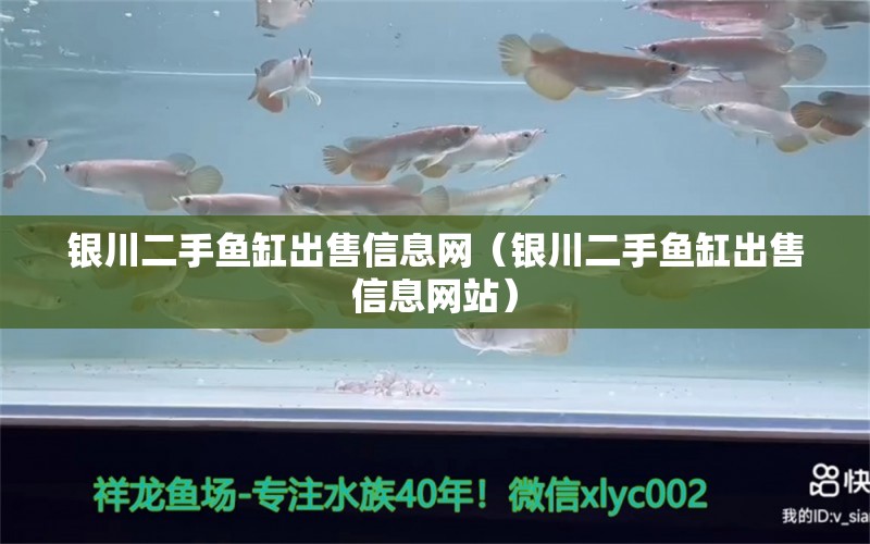 銀川二手魚缸出售信息網(wǎng)（銀川二手魚缸出售信息網(wǎng)站） 其他品牌魚缸