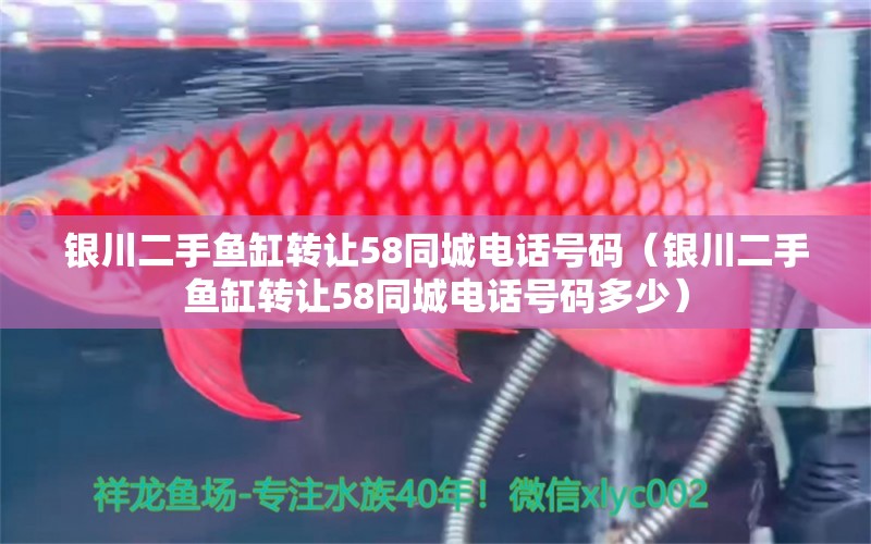 銀川二手魚缸轉(zhuǎn)讓58同城電話號碼（銀川二手魚缸轉(zhuǎn)讓58同城電話號碼多少）