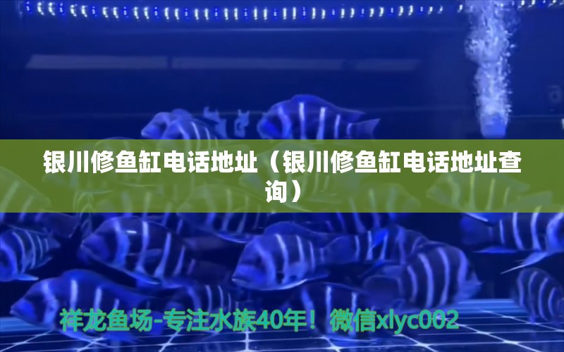 銀川修魚缸電話地址（銀川修魚缸電話地址查詢） 其他品牌魚缸