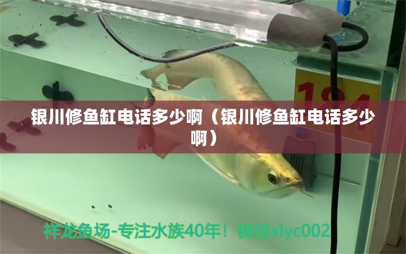 銀川修魚缸電話多少?。ㄣy川修魚缸電話多少?。?其他品牌魚缸