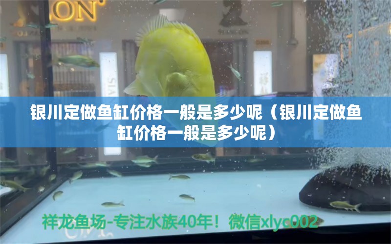 銀川定做魚缸價格一般是多少呢（銀川定做魚缸價格一般是多少呢） 其他品牌魚缸