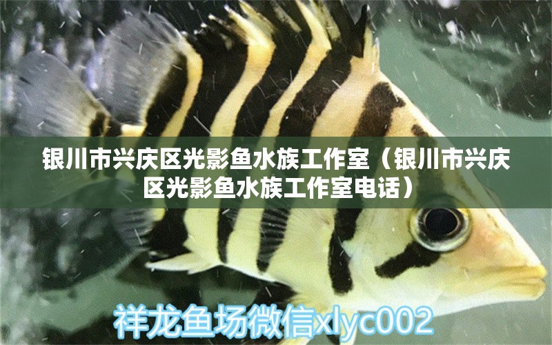 銀川市興慶區(qū)光影魚(yú)水族工作室（銀川市興慶區(qū)光影魚(yú)水族工作室電話）