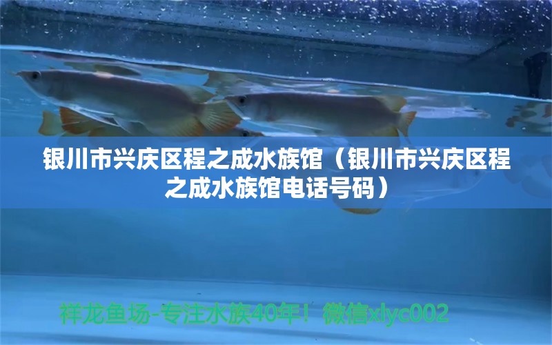 銀川市興慶區(qū)程之成水族館（銀川市興慶區(qū)程之成水族館電話號碼）