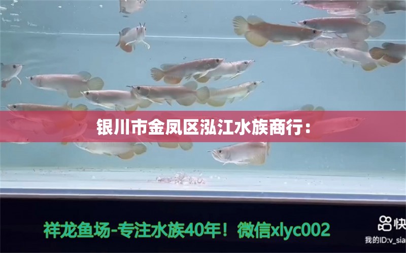 銀川市金鳳區(qū)泓江水族商行：