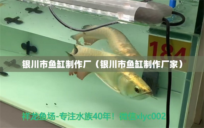 銀川市魚缸制作廠（銀川市魚缸制作廠家） 其他品牌魚缸