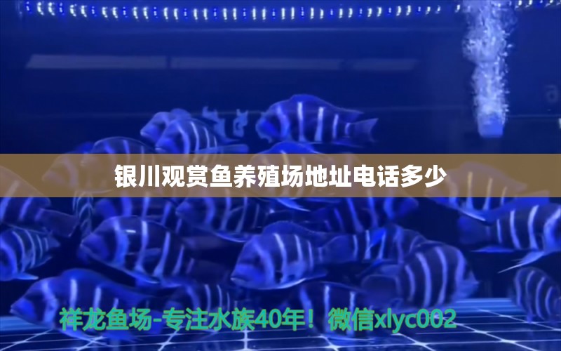 銀川觀賞魚養(yǎng)殖場地址電話多少