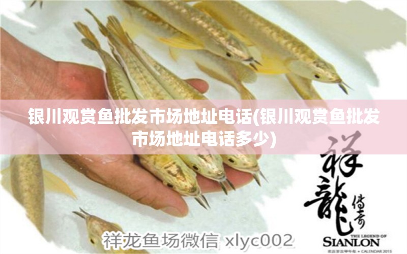 銀川觀賞魚(yú)批發(fā)市場(chǎng)地址電話(銀川觀賞魚(yú)批發(fā)市場(chǎng)地址電話多少) 觀賞魚(yú)批發(fā)