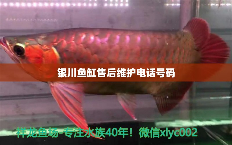 銀川魚缸售后維護(hù)電話號(hào)碼 其他品牌魚缸