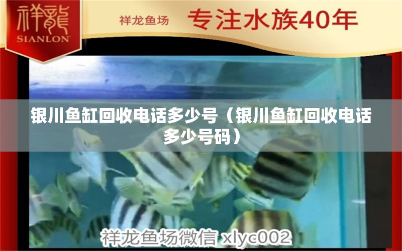 銀川魚缸回收電話多少號（銀川魚缸回收電話多少號碼） 祥龍水族醫(yī)院