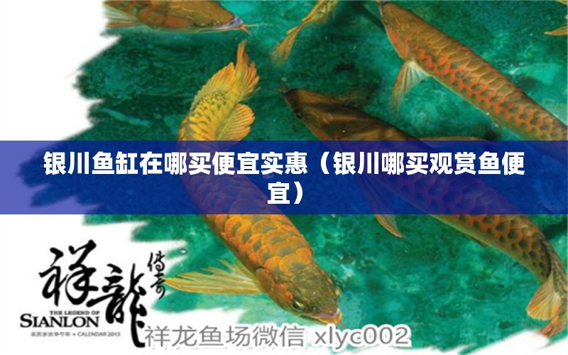 銀川魚缸在哪買便宜實(shí)惠（銀川哪買觀賞魚便宜）