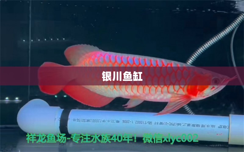 銀川魚缸 其他品牌魚缸