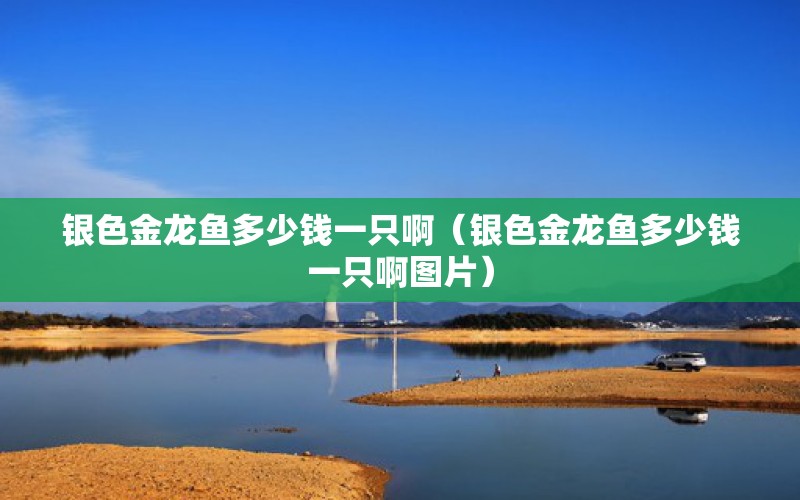 銀色金龍魚多少錢一只?。ㄣy色金龍魚多少錢一只啊圖片） 廣州龍魚批發(fā)市場