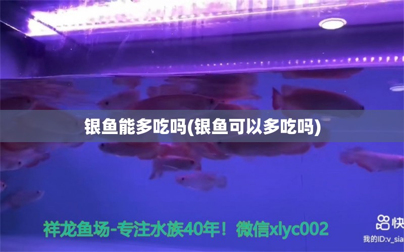 銀魚能多吃嗎(銀魚可以多吃嗎) 祥龍傳奇品牌魚缸