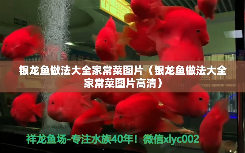 銀龍魚做法大全家常菜圖片（銀龍魚做法大全家常菜圖片高清） 銀龍魚