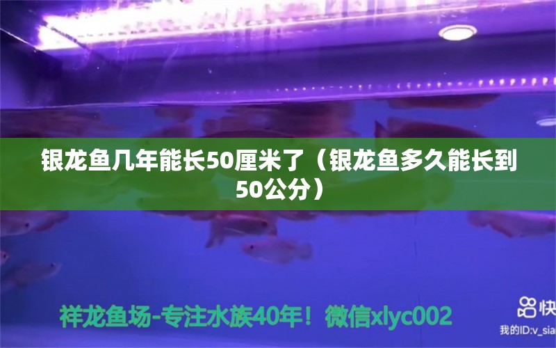 銀龍魚幾年能長50厘米了（銀龍魚多久能長到50公分） 銀龍魚