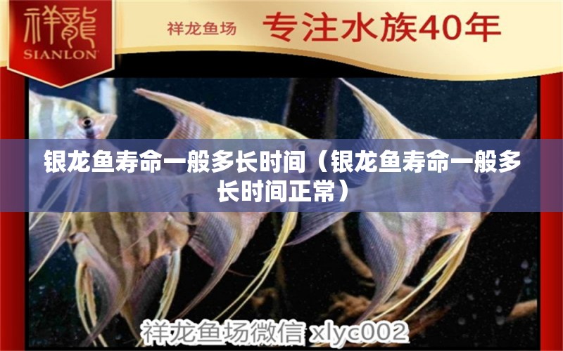 銀龍魚(yú)壽命一般多長(zhǎng)時(shí)間（銀龍魚(yú)壽命一般多長(zhǎng)時(shí)間正常）