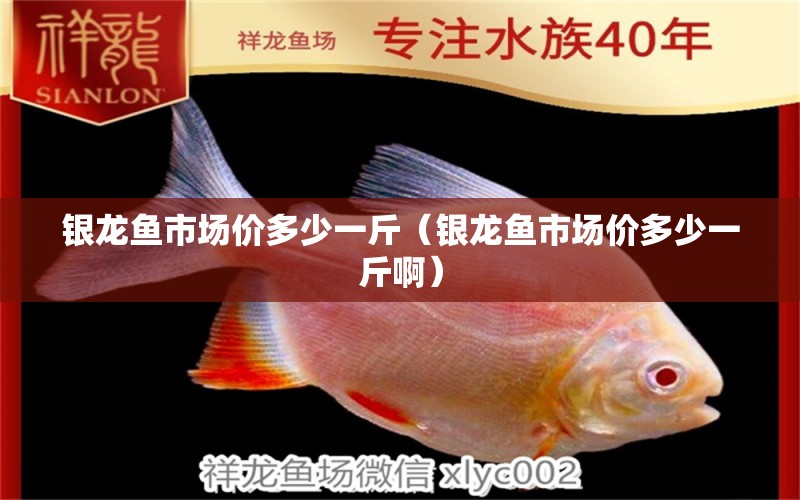 銀龍魚市場價多少一斤（銀龍魚市場價多少一斤?。?銀龍魚