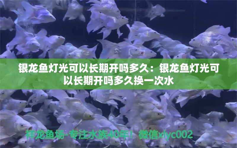 銀龍魚燈光可以長期開嗎多久：銀龍魚燈光可以長期開嗎多久換一次水