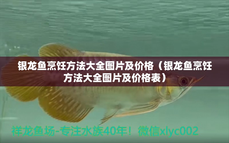 銀龍魚烹飪方法大全圖片及價格（銀龍魚烹飪方法大全圖片及價格表） 銀龍魚