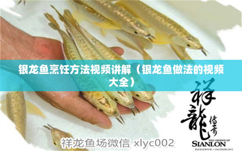 銀龍魚烹飪方法視頻講解（銀龍魚做法的視頻大全） 銀龍魚