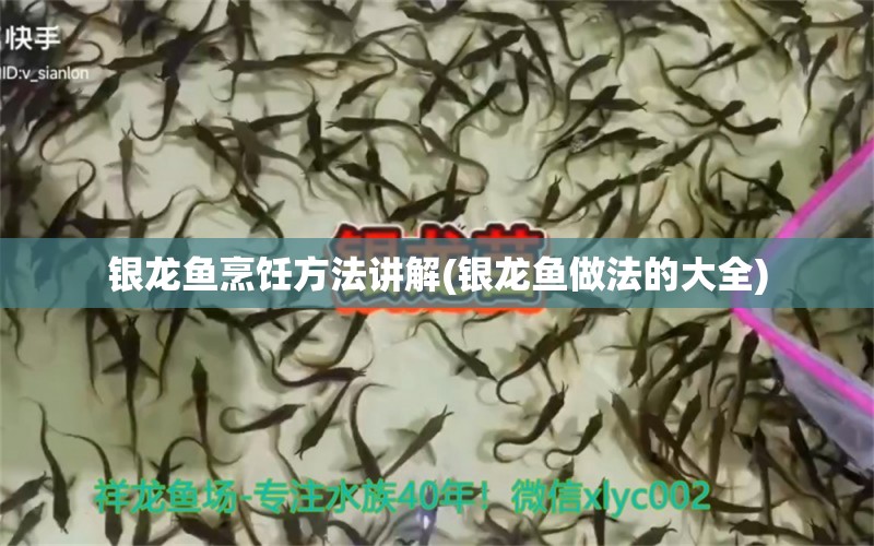 銀龍魚烹飪方法講解(銀龍魚做法的大全) 銀龍魚